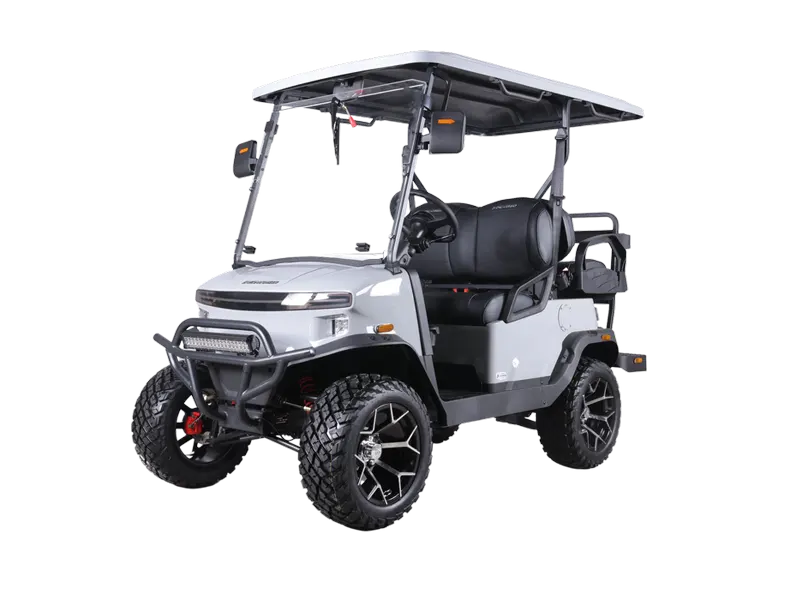 Denago EV-Nomad+XL-Gray